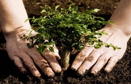 Ketika Nabi Menanam Kebun Setelah Bah: Kisah Kebangkitan Kehidupan Yang Jarang Dikenal
