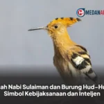 Kisah Nabi Sulaiman dan Burung Hud-Hud, Simbol Kebijaksanaan dan Inteljen