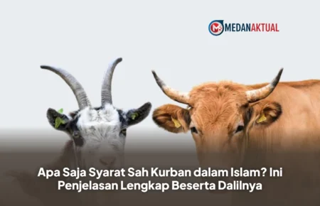 Apa Saja Syarat Sah Kurban dalam Islam? Ini Penjelasan Lengkap Beserta Dalilnya