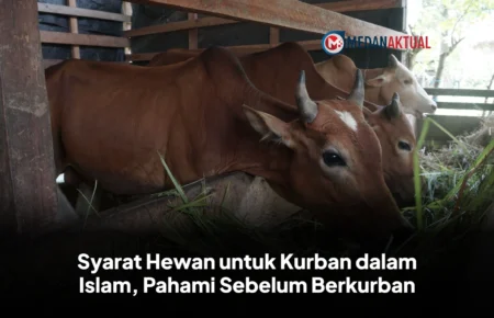 Syarat Hewan untuk Kurban dalam Islam, Pahami Sebelum Berkurban