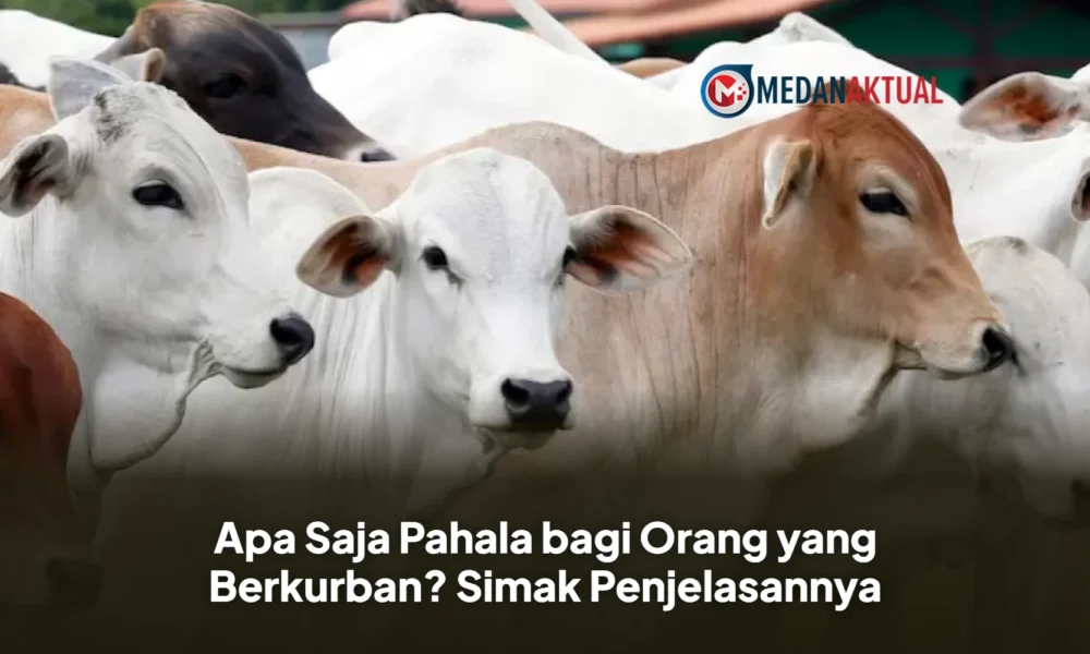 Apa Saja Pahala bagi Orang yang Berkurban? Simak Penjelasannya