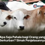 Apa Saja Pahala bagi Orang yang Berkurban? Simak Penjelasannya