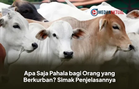 Apa Saja Pahala bagi Orang yang Berkurban? Simak Penjelasannya
